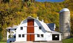 Shoal Falls Farm
