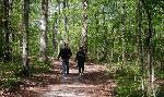 More than 26 miles of scenic trails wind throughout the woodlands of Hot Springs Village’s 26,000 acres.