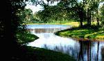 Plantation Bay Golf and Country Club