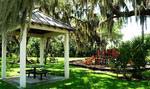 The main park at Forest Creek includes a children's play feature, basketball court and a picnic shelter. Additional smaller pocket parks with preserved grand oak hammocks are found throughout the community.