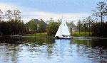 Lake Carolina