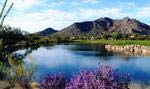 Terravita’s championship golf course offers views of Black Mountain, The Boulders and other surrounding mountain ranges from every tee box and green.