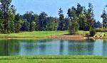 12 Oaks