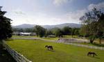 The full-service Equestrian Center at The Greenbrier Sporting Club serves as the base for the 10 miles of rugged riding trails throughout the surrounding mountains