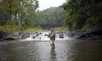 Howard's Creek is the perfect venue for fly fishing; Sporting Club members enjoy private access to three miles of this trout-stocked stream.