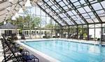 Indoor Pool at the Clubhouse in Equestra