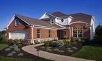 The Williamsborough in Equestra