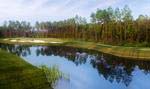 Amelia National Golf & Country Club