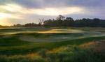 Golf Nearby Celebrate