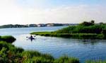 200 acres of protected wetlands surround the community and serve as a sanctuary for the birds, fish and other wildlife that populate the area.