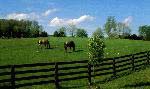 Pastures at Rarity Bay