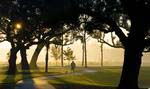 More than 14 miles of trails traverse the island, meandering along the water and over the marshes.