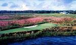 View of the back nine and The Ford Plantation Clubhouse.