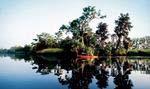 Explore Lake Clara by canoe or kayak at The Ford Plantation