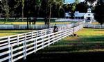 Riding trails at The Ford Plantation