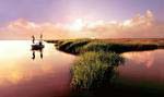 Fish from the freshwater lakes, salt marshes, creeks or tributaries found throughout The Ford Plantation
