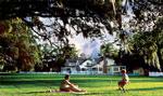 The Main Lawn at The Ford Plantation