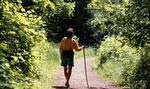 Eight miles of hiking and nature trails wind throughout Carriage Park.