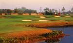 Barefoot Resort and Golf