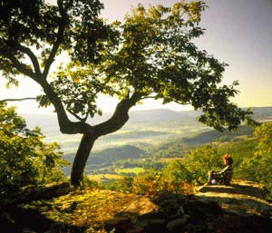 Canyon Ridge - Lookout Mountain, Georgia - Canyon Ridge is Lookout Mountain's only gated golf community, located less than 2 hours from Atlanta and Nashville, and only minutes from culturally rich and historic Chattanooga.  Canyon Ridge is now accepting Reservation Deposits for �Hidden Creek: A Collection of Luxurious Townhomes� as well as the Lookout Mountain Private Residence Club.