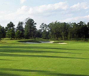 Wyboo Plantation - Manning, South Carolina - Enjoy a relaxed lakeside lifestyle along with two exceptional year-round golf courses at this 650-acre gated waterfront development in South Carolina's magnificent Santee Cooper Lakes region. In addition to great golf, the active community center is the social hub for community activities and get-togethers and includes tennis courts, a swimming pool, and an exercise room. Lots range from low-maintenance patio homesites to estate-size parcels with marvelous lake and golf course views, priced from the $30,000's to over $300,000.