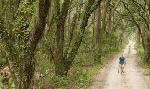 River Road Preserve at Palmetto Bluff