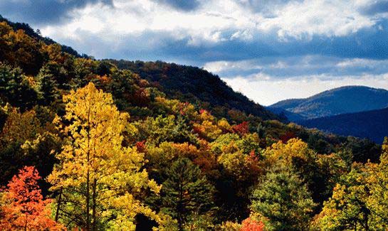 Pinnacle Falls - Hendersonville, North Carolina - A private sanctuary, near downtown Hendersonville.  Planned amenities include a elegant private lodge with fitness area and outdoor swimming pool and an extensive hiking trail system. Homesites availabe from $100,000.