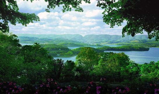 Windswept on Cherokee Lake - Morristown, Tennessee - A brand-new gated waterfront community on Cherokee Lake. Windswept offers city convenience within a natural bounty of hardwoods and breathtaking views of Cherokee Lake and the mountain ranges surrounding it. Amenities include a clubhouse, tennis, swimming, covered boat slips and a boat enclosure. Luxury condominiums, townhomes and patio homes planned. Property priced from $99,900 to $359,900.