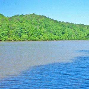 Woodgate Shores - Wedowee, Alabama - Situated in the Alabama Mountains on 10,000-acre Lake Wedowee, with the Talladega National Forest close by, Woodgate Shores is an outdoor paradise with fishing, boating, hiking, hunting, mountain biking and swimming. Water access from $24,900; Waterfront starting at $75,000.