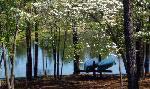 Anderson Creek Club features 26 stocked ponds within the community with canoes and paddleboats for relaxation. A freshwater fisherman’s delight!