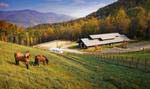 Balsam features an Equestrian program with club horses for private lessons and trail riding, and pasture boarding.