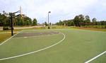 Berkshire Forest basketball courts