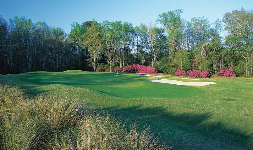 Brays Island Plantation Golf Club Brays Island Plantation Golf Club