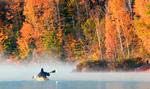 Beauty surrounds you on Eastman Lake