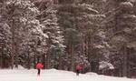 More than 36K of trails are available for cross country skiing and snowshoeing