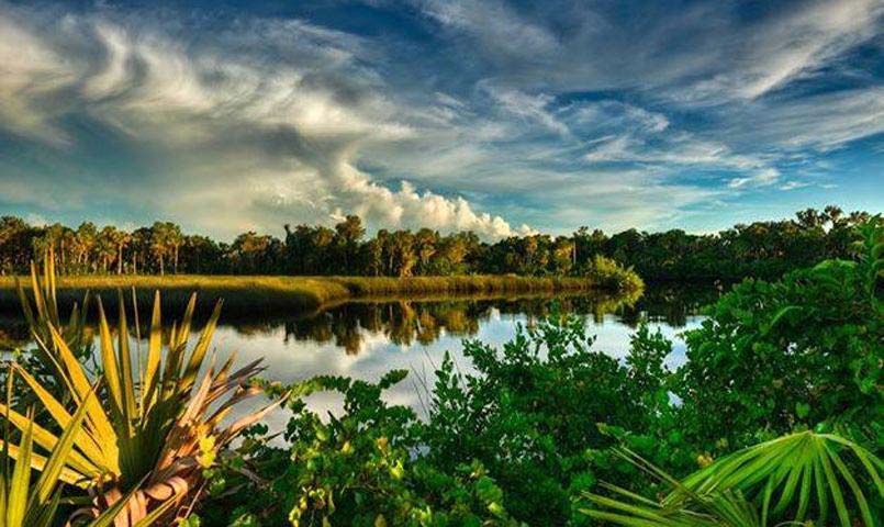 The Islands on the Manatee River | Gated Community near Sarasota, FL