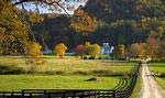 Shoal Falls Farm