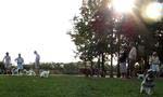Sun City Hilton Head by Del Webb Dog Park