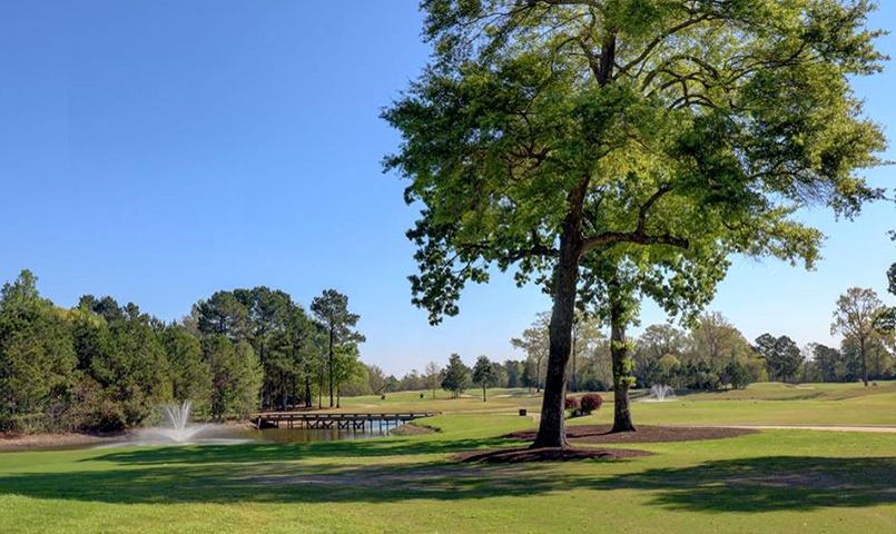 Woodforest Golf Community In Montgomery TX