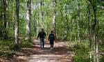 More than 26 miles of scenic trails wind throughout the woodlands of Hot Springs Village’s 26,000 acres.