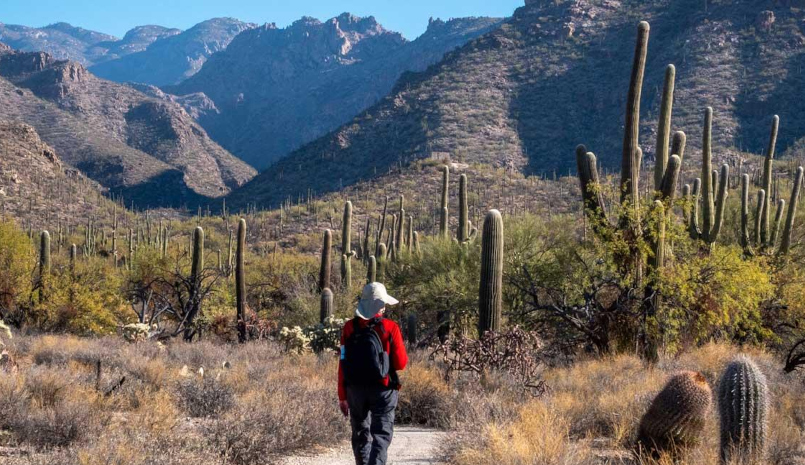 Terravita Country Club