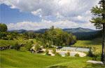 Read about Chinquapin Discovery Package