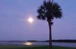 Read about Kiawah River Estates Discovery Package