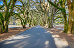 Bluffton, South Carolina Fishing Community