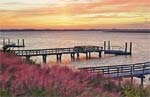 Bluffton, South Carolina Fishing Community