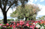 Boynton Beach, Florida Recreation Community