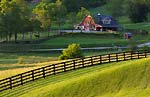 Hendersonville, North Carolina Dog Park Community
