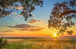 Daufuskie Island, South Carolina Tennis Community