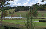 Clermont, Florida Dog Park Community