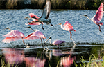 Charleston, South Carolina Boating Community
